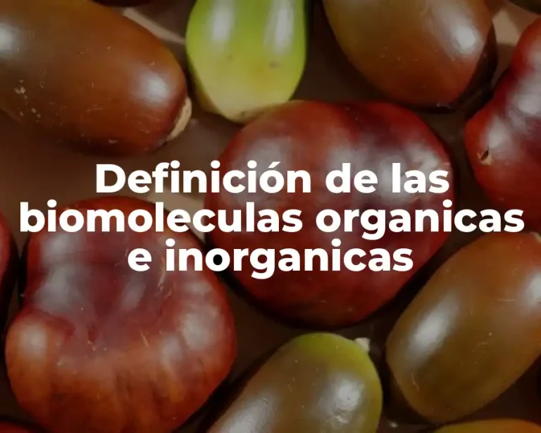 Definición de las biomoleculas organicas e inorganicas