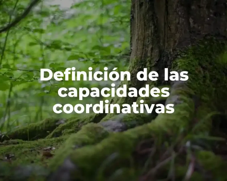 Definición de las capacidades coordinativas