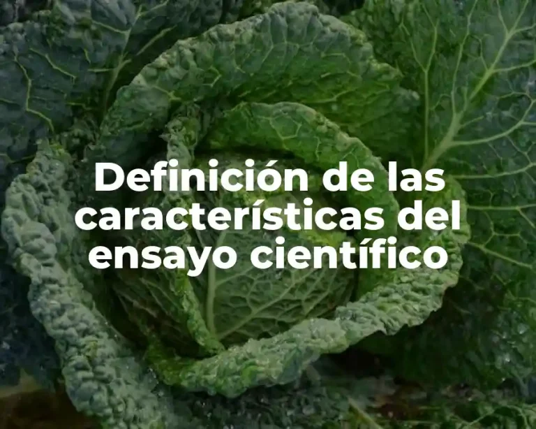 Definición de las características del ensayo científico