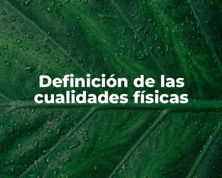 Definición de las cualidades físicas