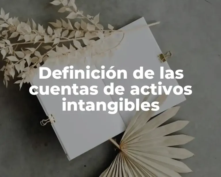 Definición de las cuentas de activos intangibles