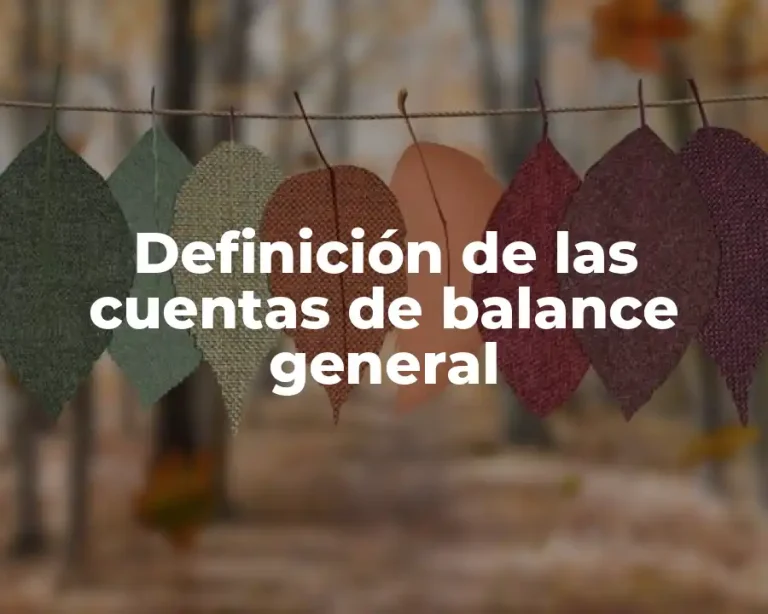 Definición de las cuentas de balance general