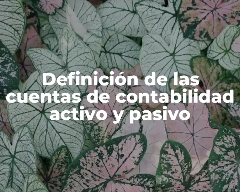 Definición de las cuentas de contabilidad activo y pasivo