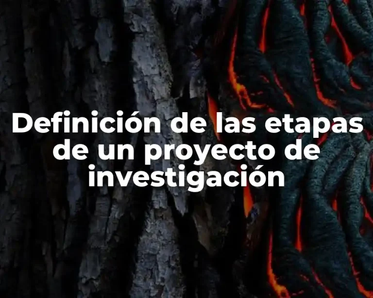 Definición de las etapas de un proyecto de investigación