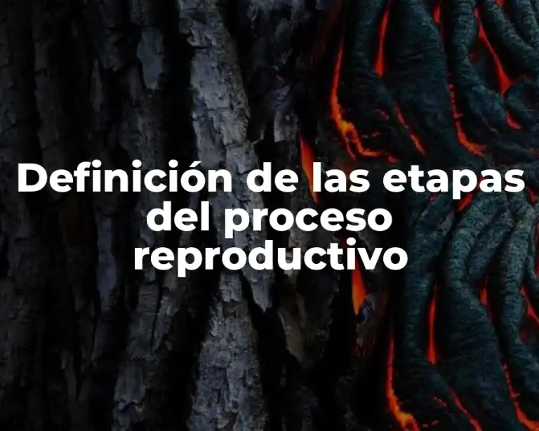 Definición de las etapas del proceso reproductivo