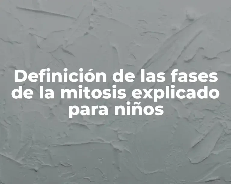Definición de las fases de la mitosis explicado para niños