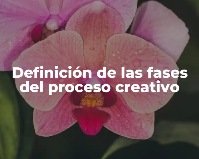 Definición de las fases del proceso creativo