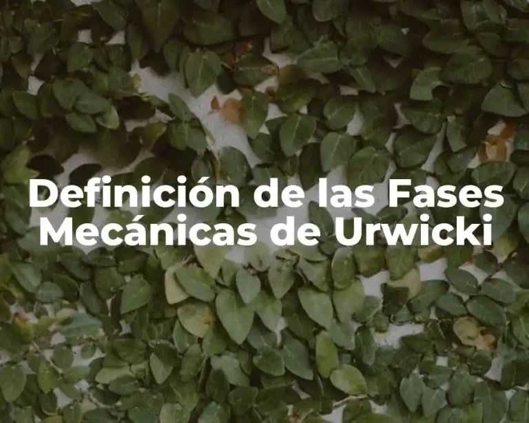 Definición de las Fases Mecánicas de Urwicki