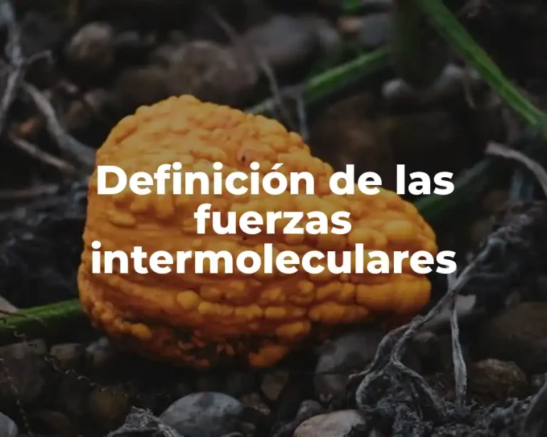 Definición de las fuerzas intermoleculares
