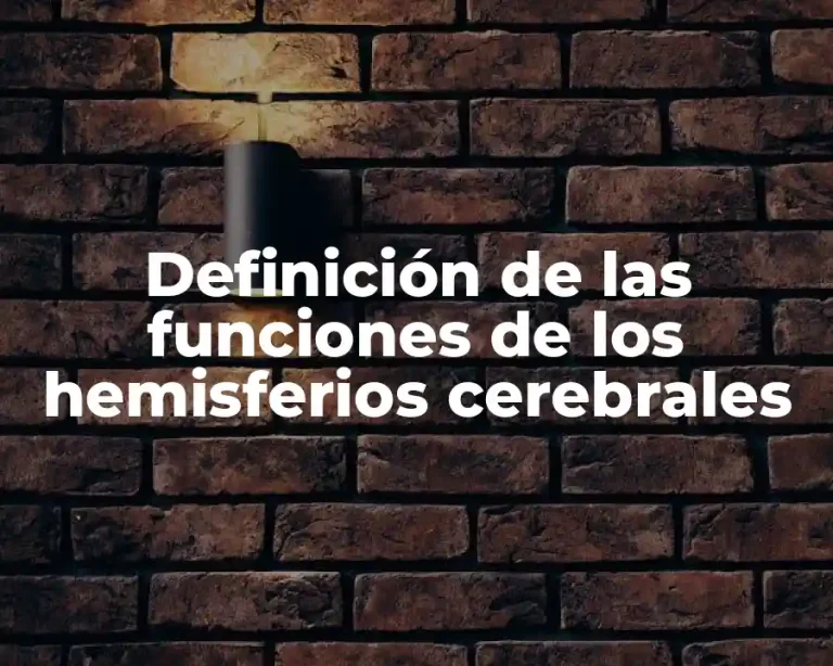 Definición de las funciones de los hemisferios cerebrales