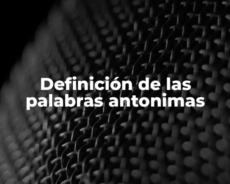 Definición de las palabras antonimas