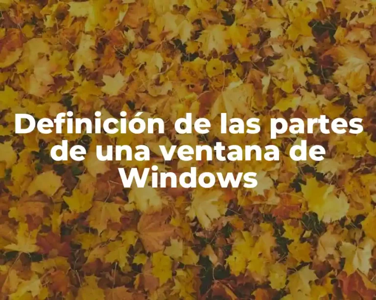 Definición de las partes de una ventana de Windows