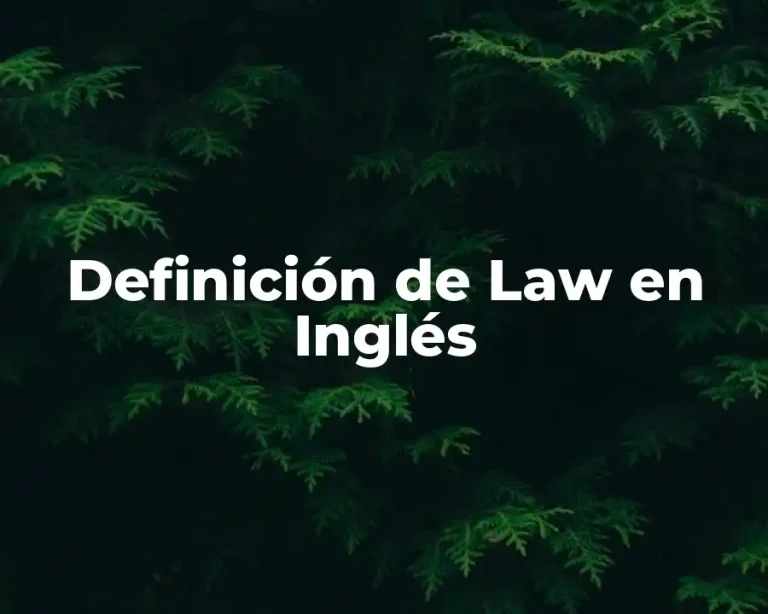 Definición de Law en Inglés
