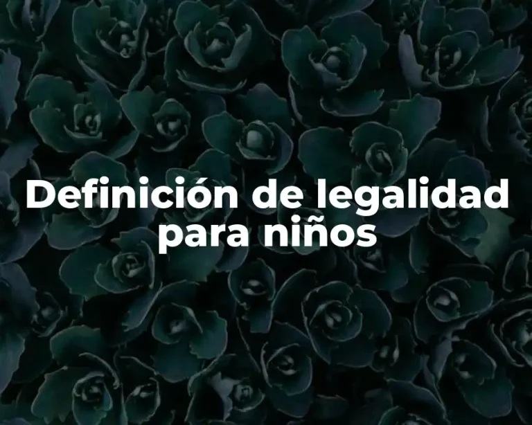 Definición de legalidad para niños