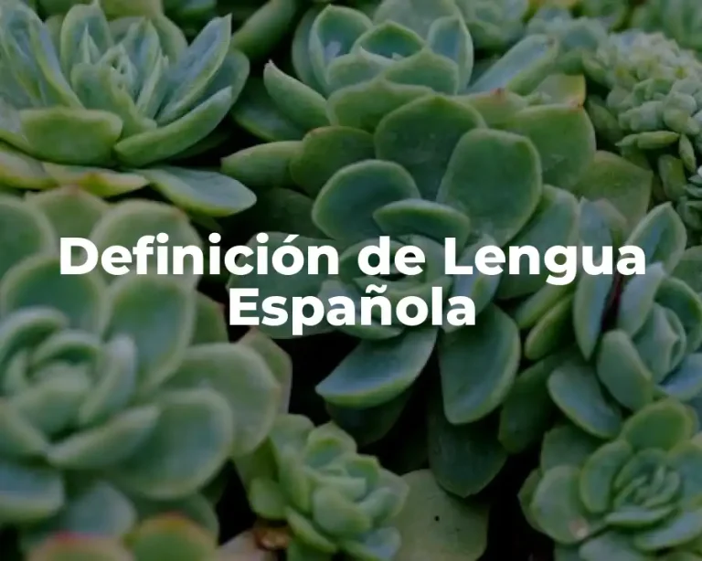 Definición de Lengua Española
