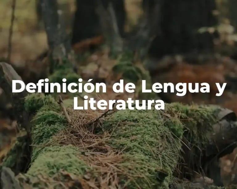 Definición de Lengua y Literatura