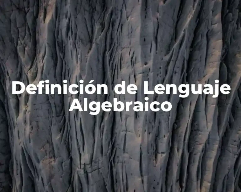 Definición de lenguaje algebraico