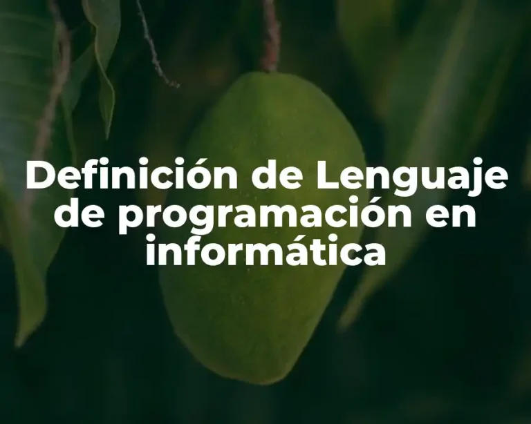 Definición de Lenguaje de programación en informática