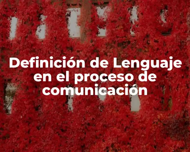 Definición de Lenguaje en el proceso de comunicación