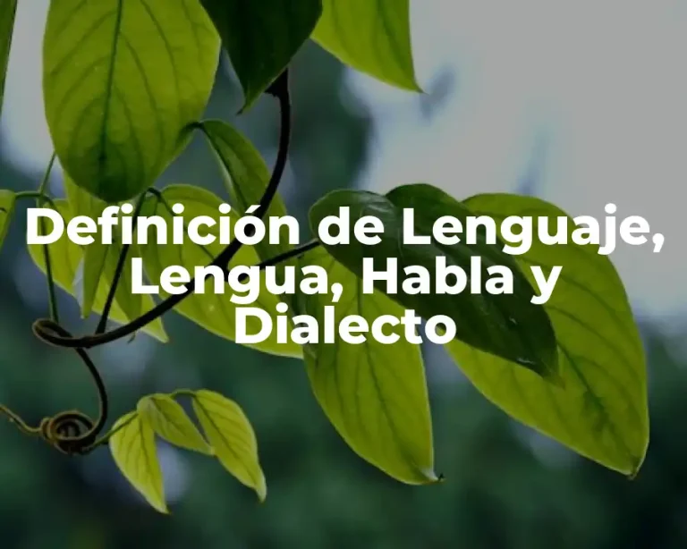 Definición de Lenguaje, Lengua, Habla y Dialecto