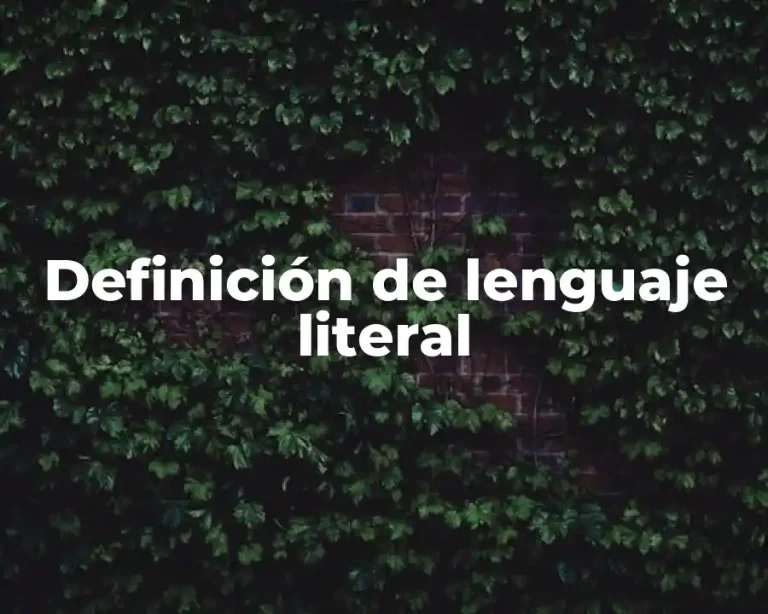 Definición de lenguaje literal