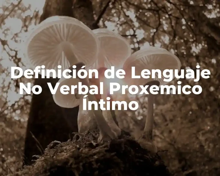 Definición de Lenguaje No Verbal Proxemico Íntimo