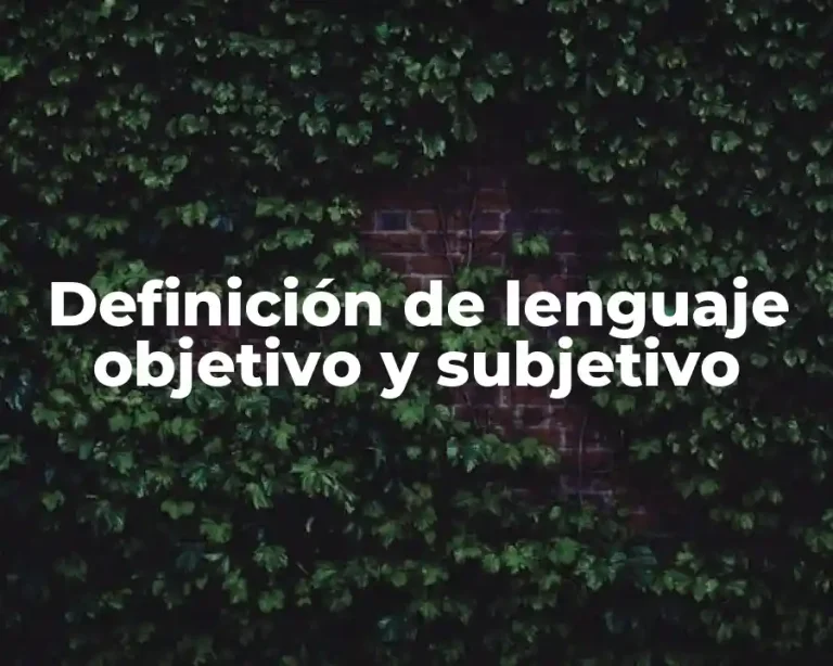 Definición de lenguaje objetivo y subjetivo