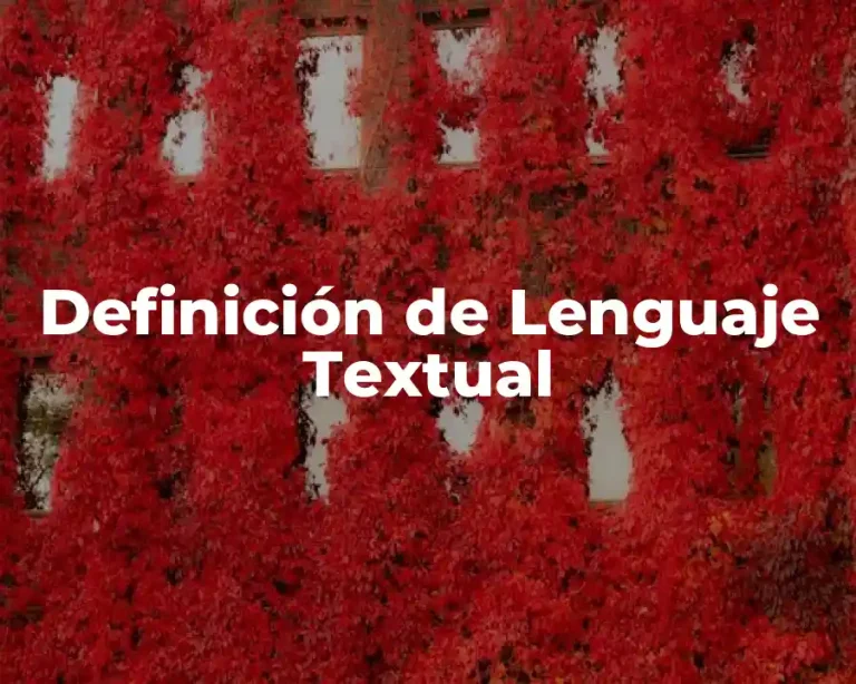 Definición de Lenguaje Textual