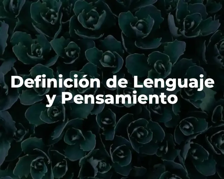 Definición de Lenguaje y Pensamiento