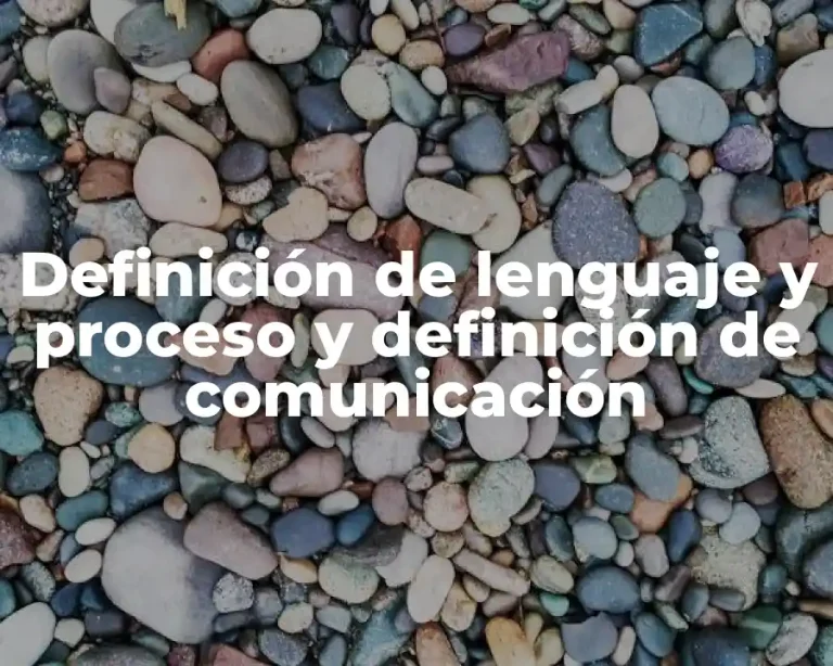 Definición de lenguaje y proceso y definición de comunicación