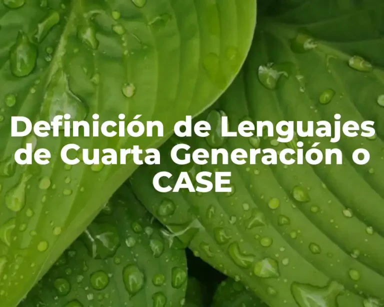 Definición de Lenguajes de Cuarta Generación o CASE
