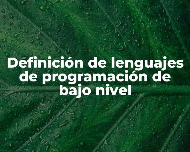 Definición de lenguajes de programación de bajo nivel