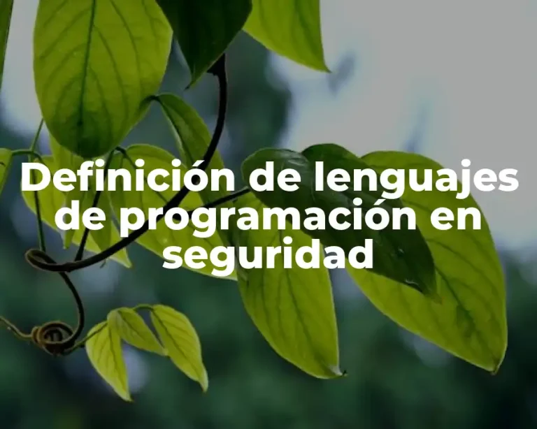 Definición de lenguajes de programación en seguridad