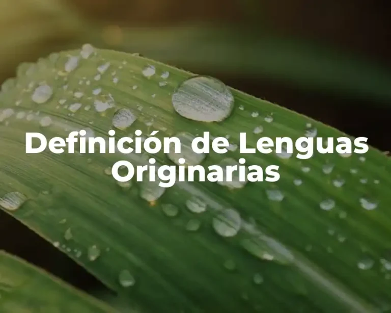 Definición de Lenguas Originarias