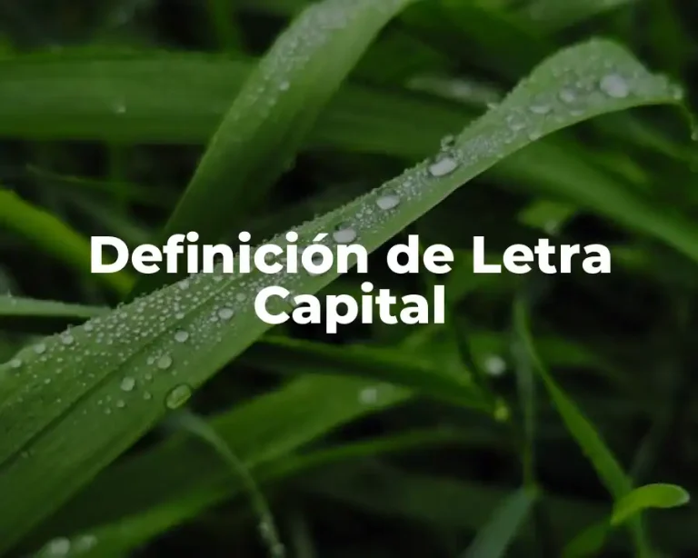 Definición de Letra Capital