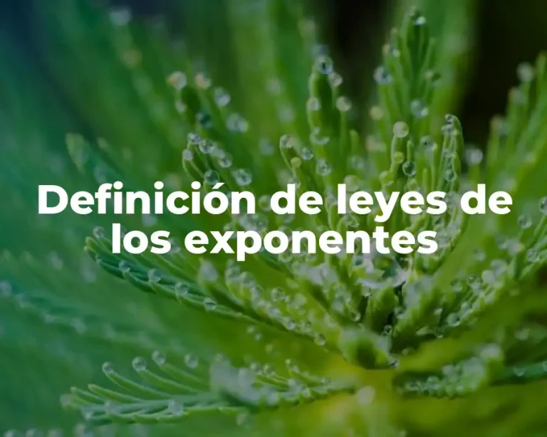 Definición de leyes de los exponentes