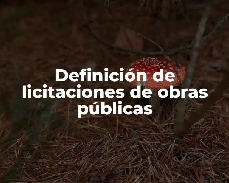 Definición de licitaciones de obras públicas