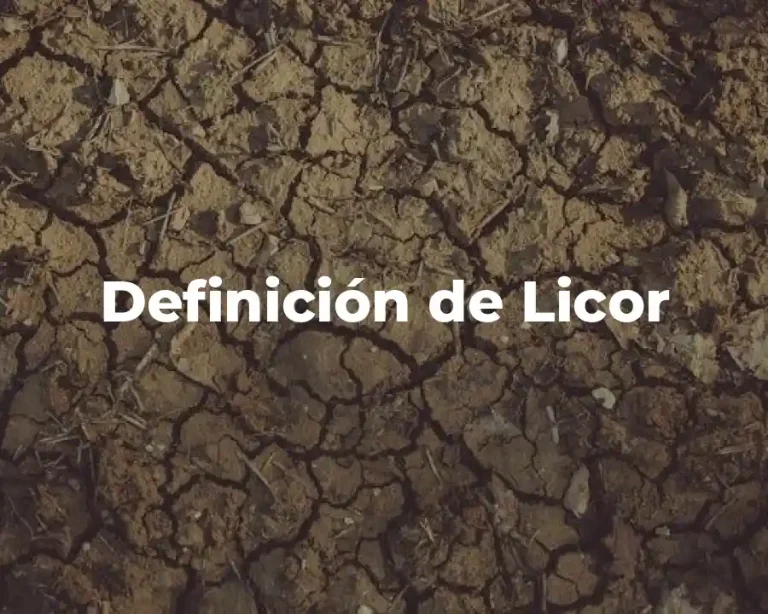 Definición de Licor