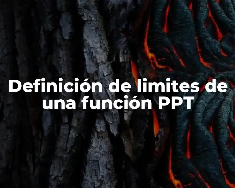Definición de limites de una función PPT