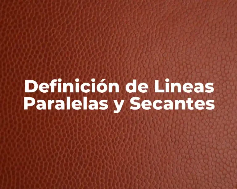 Definición de Lineas Paralelas y Secantes