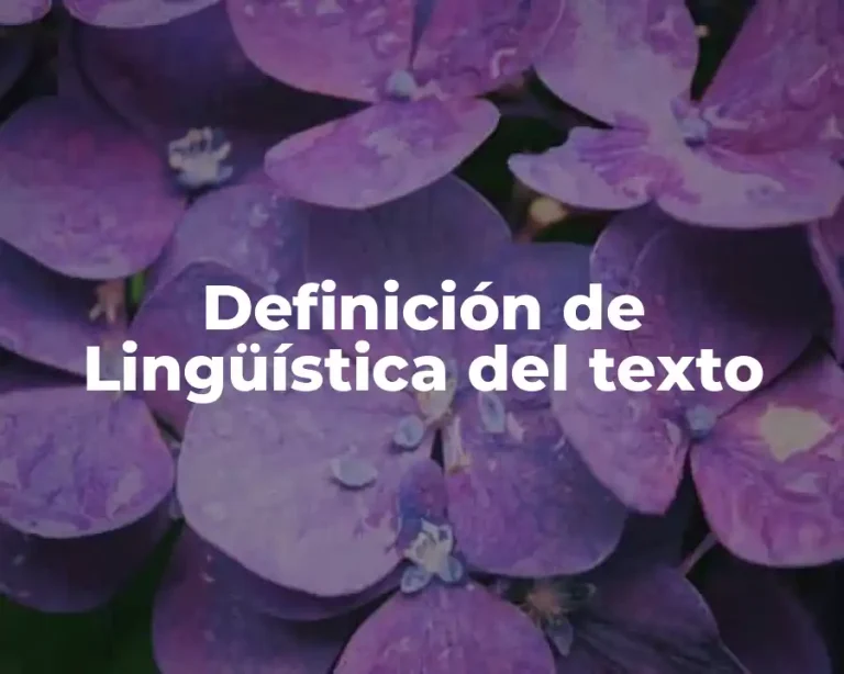 Definición de Lingüística del texto