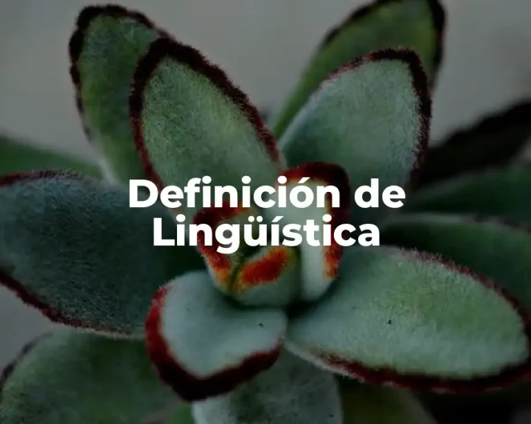 Definición de Lingüística