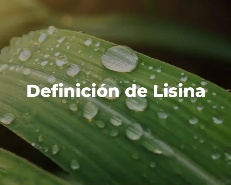 Definición de Lisina