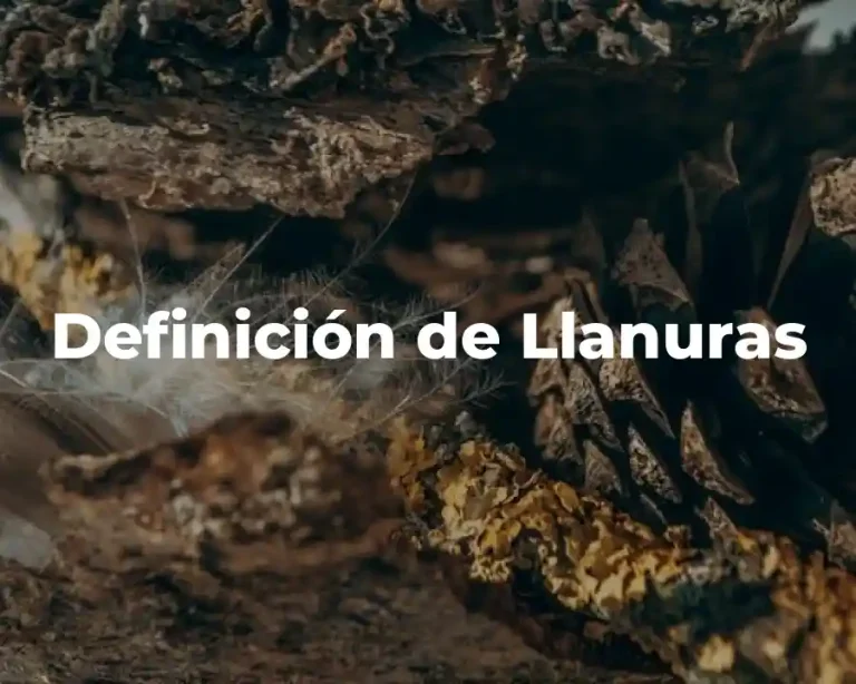 Definición de Llanuras