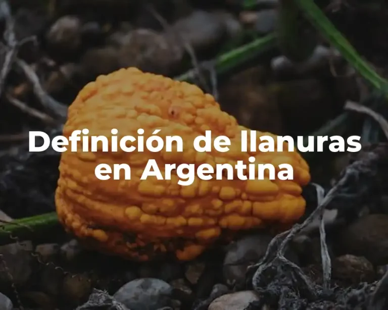 Definición de llanuras en Argentina
