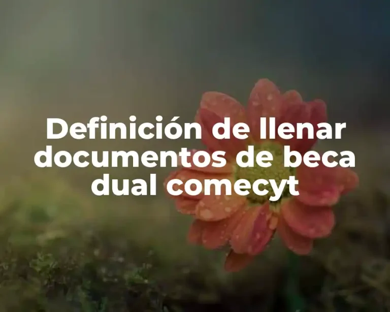 Definición de llenar documentos de beca dual comecyt