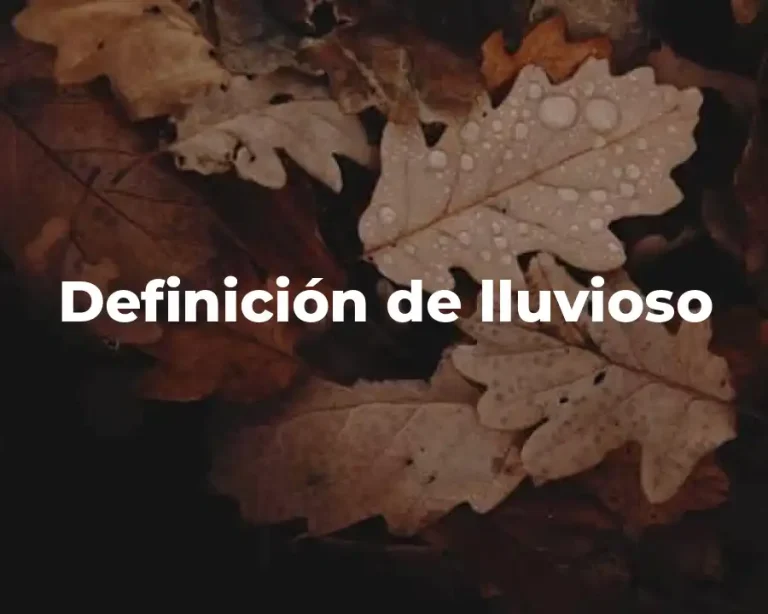 Definición de lluvioso