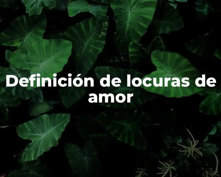 Definición de locuras de amor