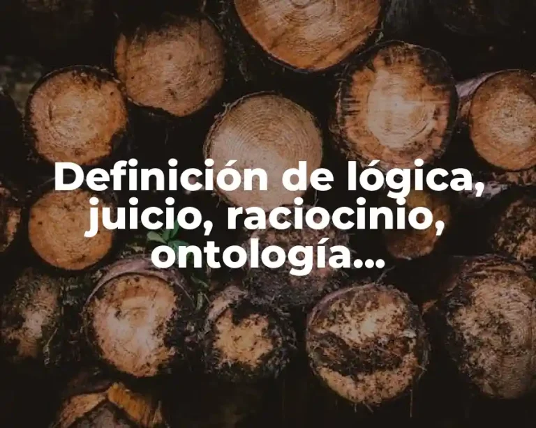 Definición de lógica, juicio, raciocinio, ontología, epistemología y ontología