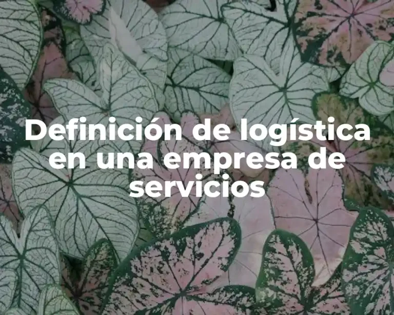 Definición de logística en una empresa de servicios